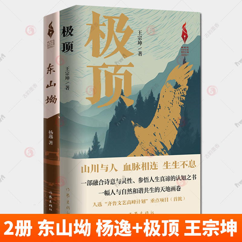 2册 东山坳 杨逸+极顶 王宗坤 新时代山乡巨变创作计划 刻画了东山坳村民的集体群像 隐忍坚毅生活的残酷 小说 作家出版社书籍图片