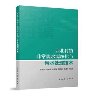 西北村镇规水源净化与污水处理技术石宝友 建筑书籍