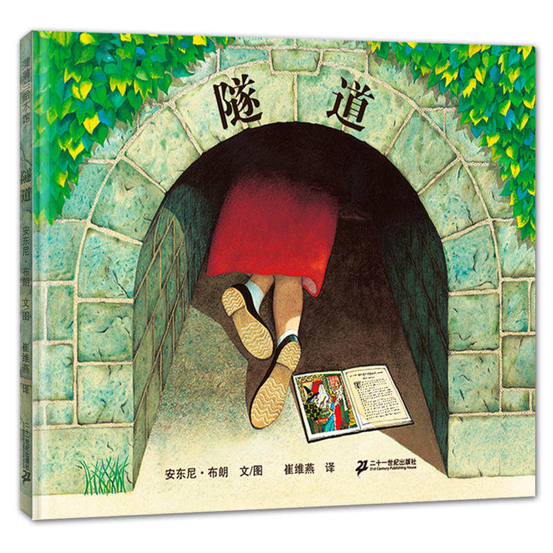 隧道(2018版 安东尼·布朗作品)蒲蒲兰图画书系列 浓浓的兄妹情插画