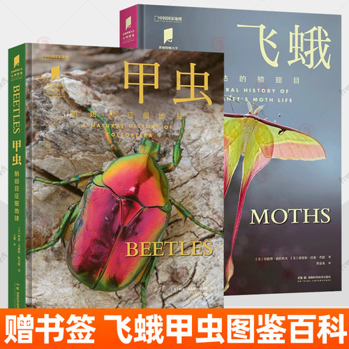 赠精美书签】飞蛾 甲虫 鞘翅目鳞翅目 甲虫图鉴中国国家地理图书甲虫百科全书高清摄影图+手绘图自然百科科普读物昆虫生物画册书籍
