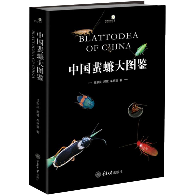 中国蜚蠊大图鉴 好奇心书系图鉴系列 蟑螂中国蜚蠊目7科65属310种昆虫彩色大图鉴彩色照片 中国蜚蠊目昆虫物种名录鉴定资料科普书