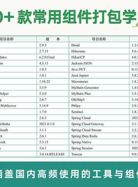 学透Spring：从入门到项目实战丁雪丰 计算机与网络书籍