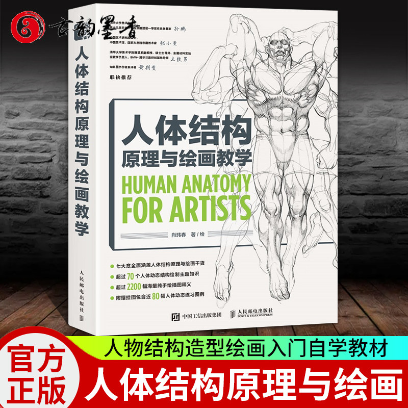 人体结构原理与绘画教学肖玮春