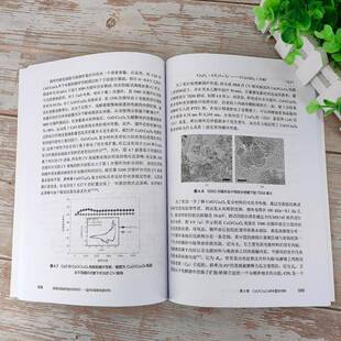 电容器电极材料研究:锰/钴/镍基电极材料:manganese/cobalt/nickel based electrode materials庞明俊 工业技术书籍