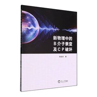 新物理中的B介子衰变及CP破坏陈建宾 自然科学书籍