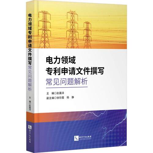 正版 电力领域专利申请文件撰写常见问题解析赵露泽  社会科学书籍