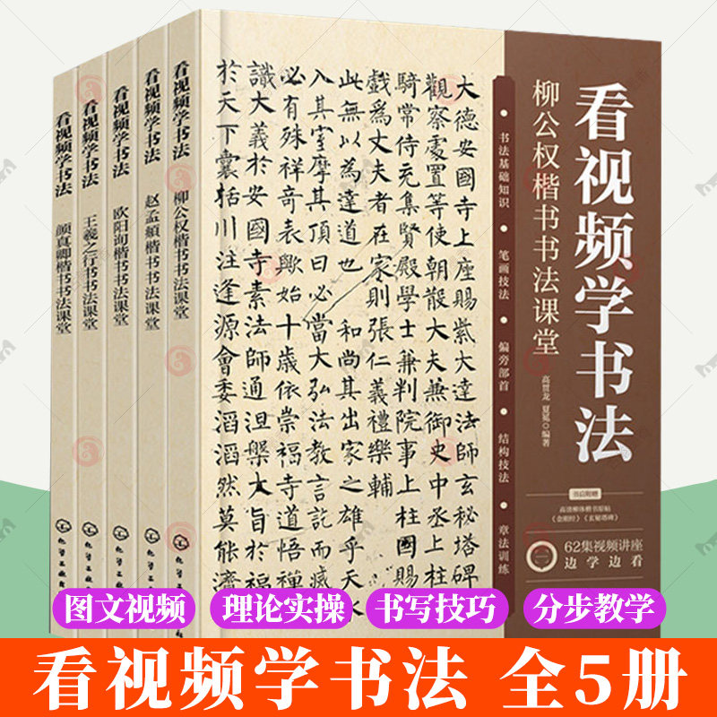 5册】看视频学书法 颜真卿楷书 王羲之行书 欧阳询楷书 赵孟頫楷书 柳公权楷书 书法基础知识入门教程视频讲解书法临摹教程书籍