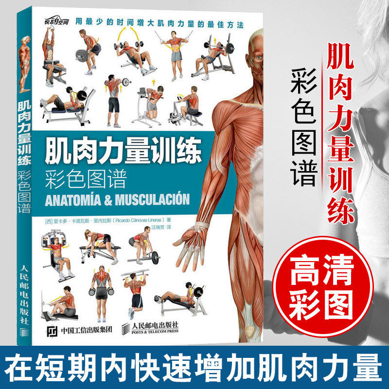 肌肉力量训练彩色图谱健身书籍教程私人教练人体肌肉解剖书运动解刨学
