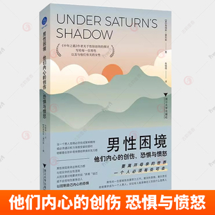 男性困境 他们内心的创伤 恐惧与愤怒 詹姆斯·霍利斯 著 《中年之路》作者关于性别创伤的探讨 写给每一位男性以及有关的女性正版