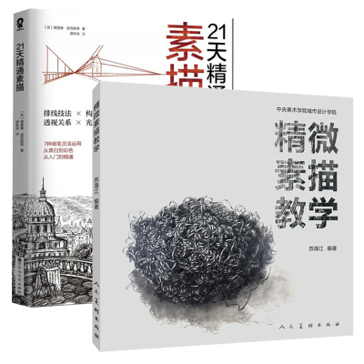 正版 21天精通素描+精微素描教学 素描入门基础教程书籍 从零起步素描基础教程 零基础学画画 素描基础教学与艺术创作相结合