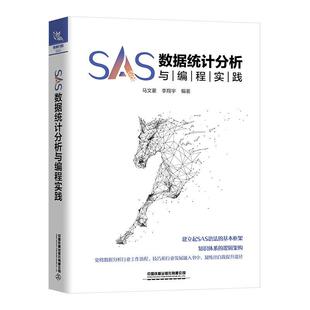 SAS数据统计分析与编程实践 SAS编程统计分析的专用语言 SAS语法基本框架 知识体系 中国铁道出版社有限公司 正版书籍
