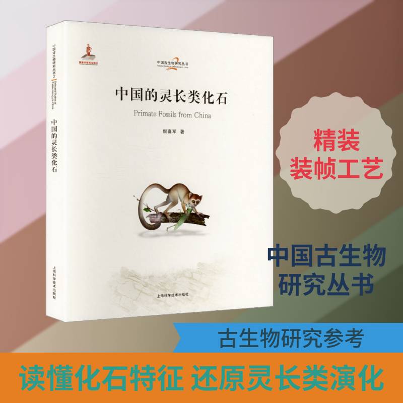 中国的灵长类化石倪喜军 图书书籍