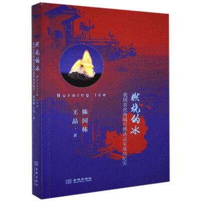 燃烧的冰:我国海域可燃冰试采纪实陈国栋报告文学中国当代文学书籍