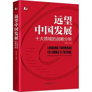 经济书籍 十大领域 fields张国有 critical ten analysis strategic 战略分析 远望中国发展 正版
