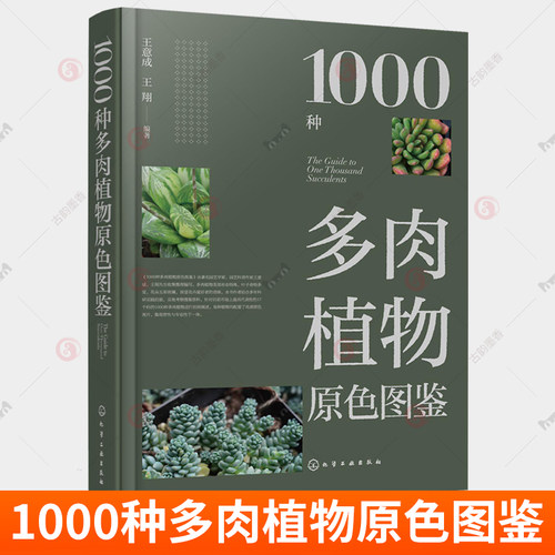 1000种多肉植物原色图鉴 多肉植物介绍多肉种植养殖养护多肉植物栽培基础知识病虫害防治技术入门 多肉小盆栽肉肉植物花卉养花书籍
