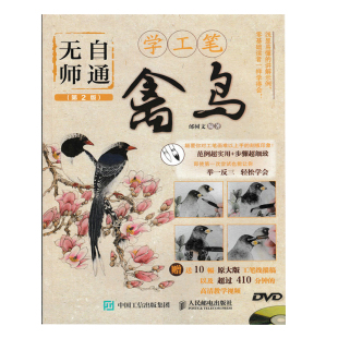 禽鸟 美术绘画初级教材书 第2版 鸟类绘画方法技巧 工笔画入门教程书籍 工笔画绘制技法大全从入门到精通 无师自通学工笔