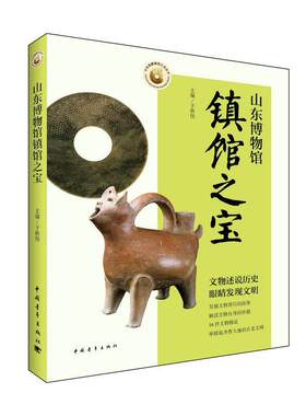 山东博物馆镇馆之宝 文物述说历史 发掘文物背后的故事 解读文物自身的价值 16件文物串联起齐鲁大地的古老文明  中国青年出版社