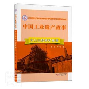 水口山铅锌矿故事段锐铅锌矿床工业史湖南青少年读物经济书籍