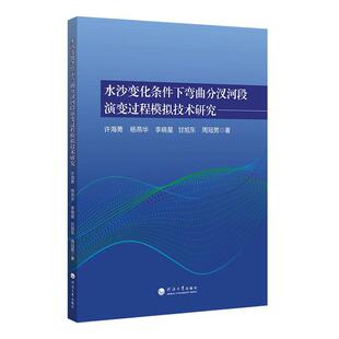 水沙变化条件下弯曲分汊河段演变过程模拟技术研究许海勇 工业技术书籍