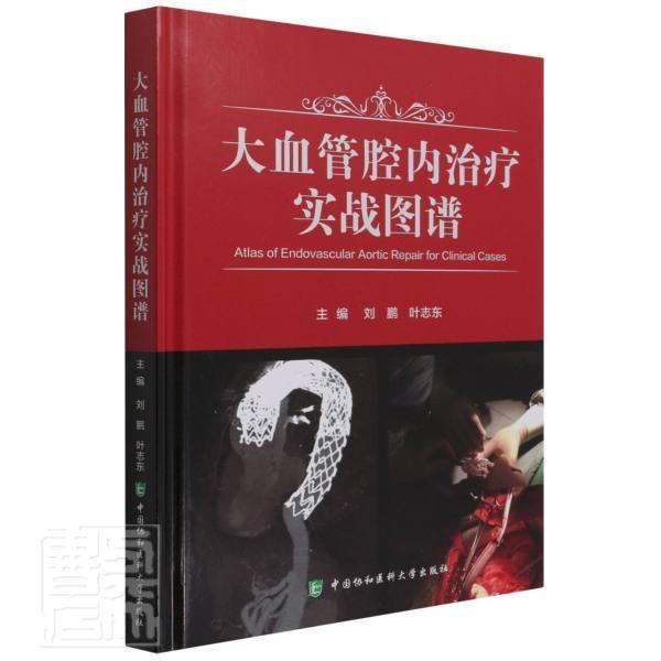 大血管腔内治疗实战病例图谱刘鹏血管外科学图谱医药卫生书籍