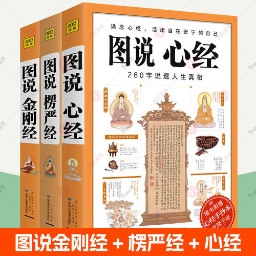 正版包邮图说金刚经施青石