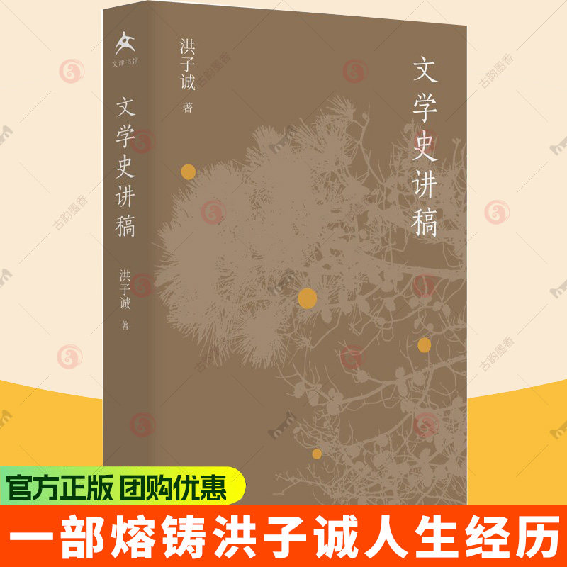 文学史讲稿 一部熔铸洪子诚人生经历 感受 思考和困惑的著作 当代文学 文学史 文学思潮 文学制度的形成书籍图片