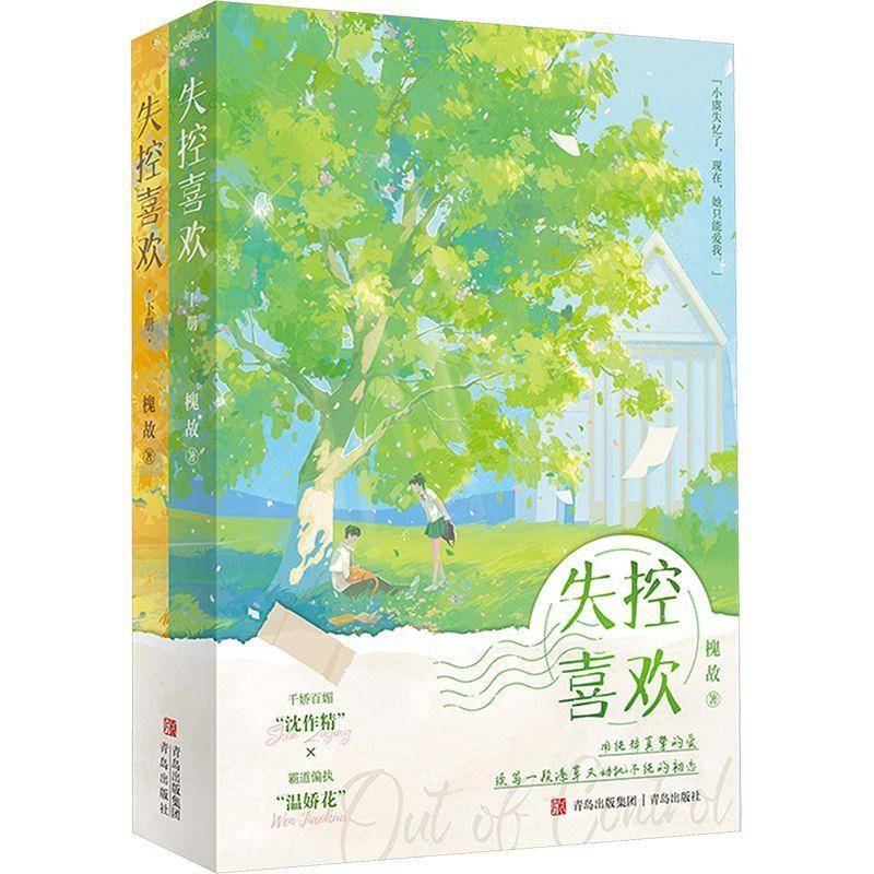 失控喜欢槐故 小说书籍