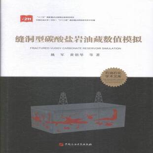 缝洞型碳酸盐岩油藏数值模拟姚军碳酸盐岩油气藏油藏数值模拟工业技术书籍