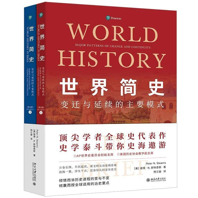 世界简史 变迁与延续的主要模式 第8版上下册 万卷长图升沉起伏 看文明互动是祸是福 沧海一粟浮生千古 思身份认同是有是无 图书籍