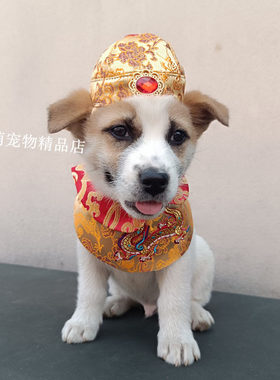 宠物皇袍围脖围巾三角巾大中小型犬泰迪口水巾柴犬帽子领结围脖