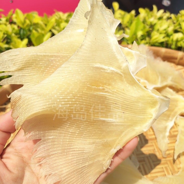 北海深海大号海狗翅浦鱼软骨翅煲汤料天星翅肉翅送礼干货500g