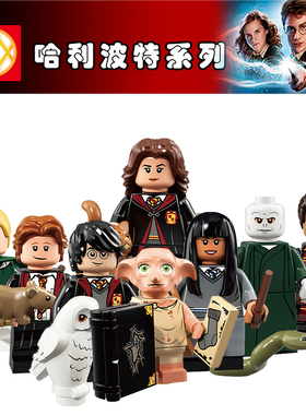 WM6040兼容国产哈利波特小精灵多比张秋75954益智拼装积木人仔玩