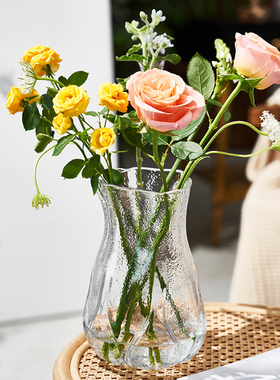 ins 风花瓶小众高级感冰川纹透明玻璃艺术感插花摆件水养鲜花干花