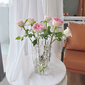 网红花瓶摆件客厅透明玻璃轻奢ins风高级感冰川大口径水养插鲜花