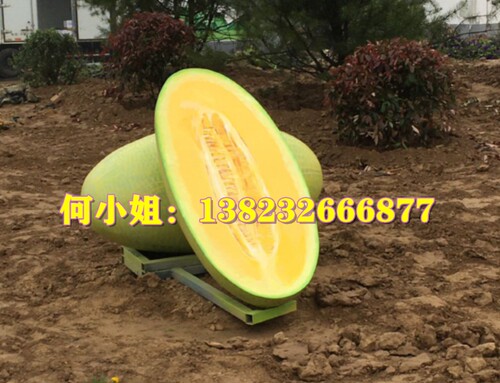 农村村牌标志地标装饰大型玻璃钢哈密瓜雕塑仿真香瓜甜瓜草地摆件