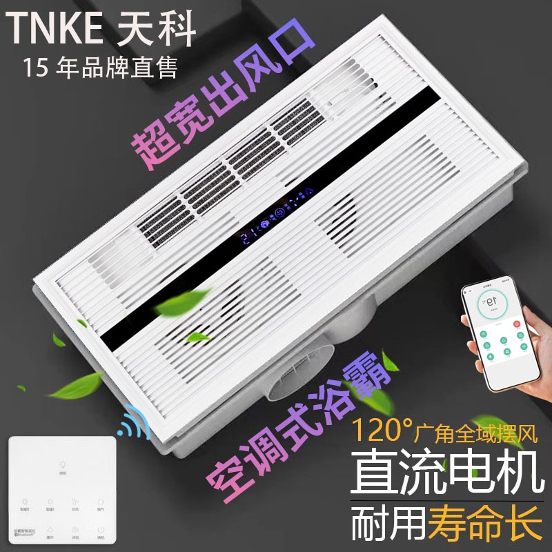 换气二合一单风暖300x600浴霸