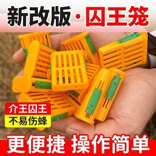 多功能中蜂王笼塑料囚王笼储台器介王器隔王蜂王意蜂放逃养蜂工具