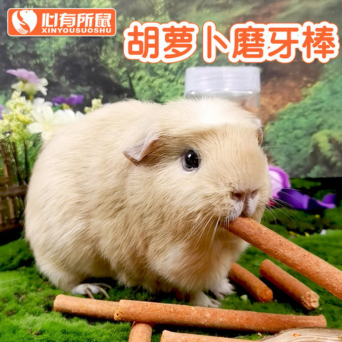 胡萝卜磨牙棒牧草棍龙猫豚鼠兔子