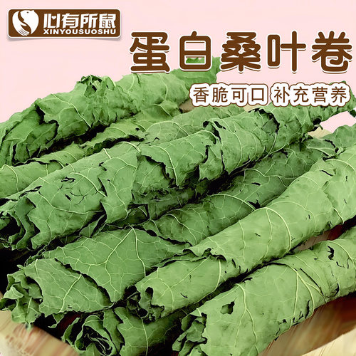 蛋白桑叶脆卷牧草兔子龙猫荷兰猪