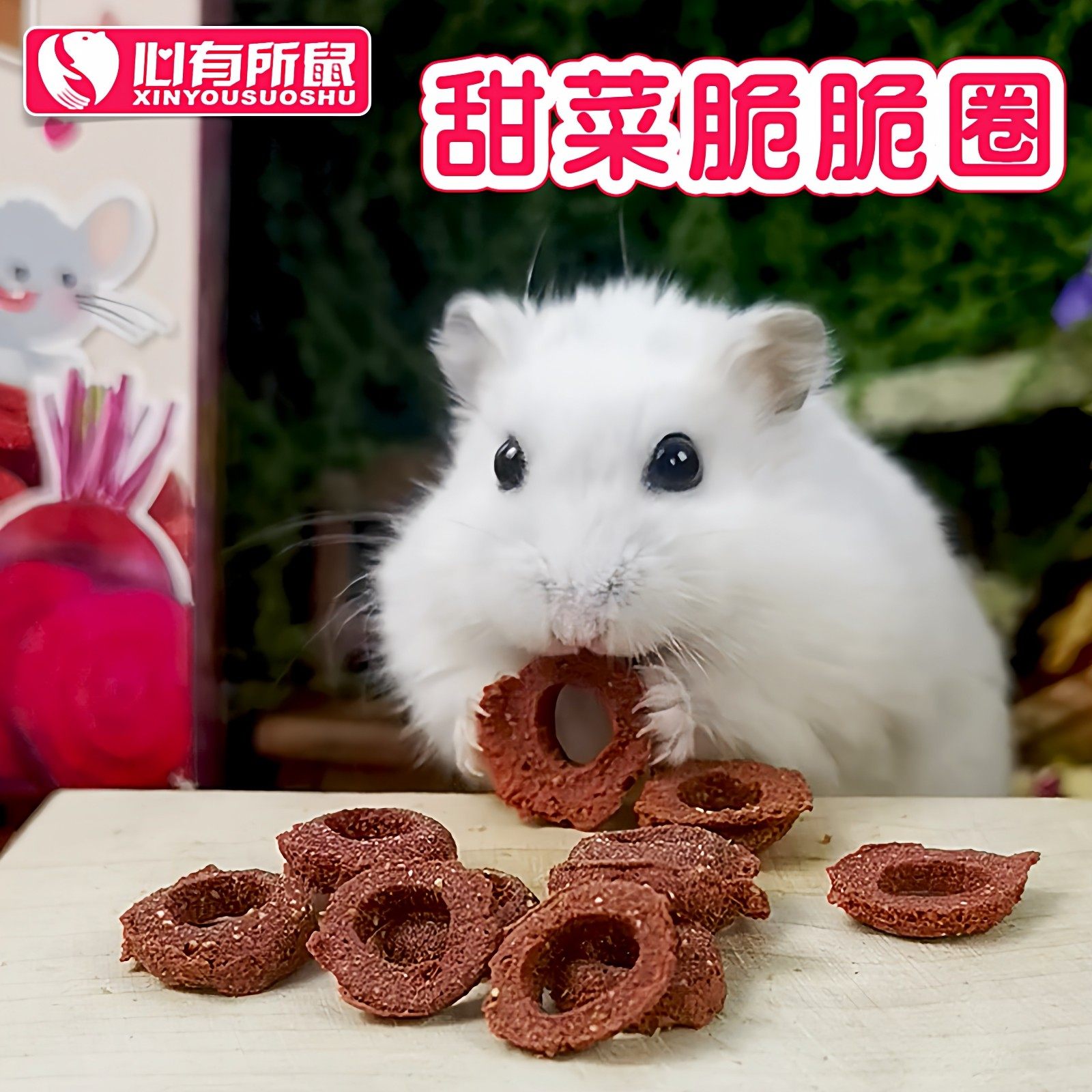Alice甜菜脆脆圈兔子龙猫豚鼠荷兰猪仓鼠零食饲料60g,宠物/宠物食品及用品,鼠粮,淘宝优惠券,粉丝福利购,淘宝优惠卷