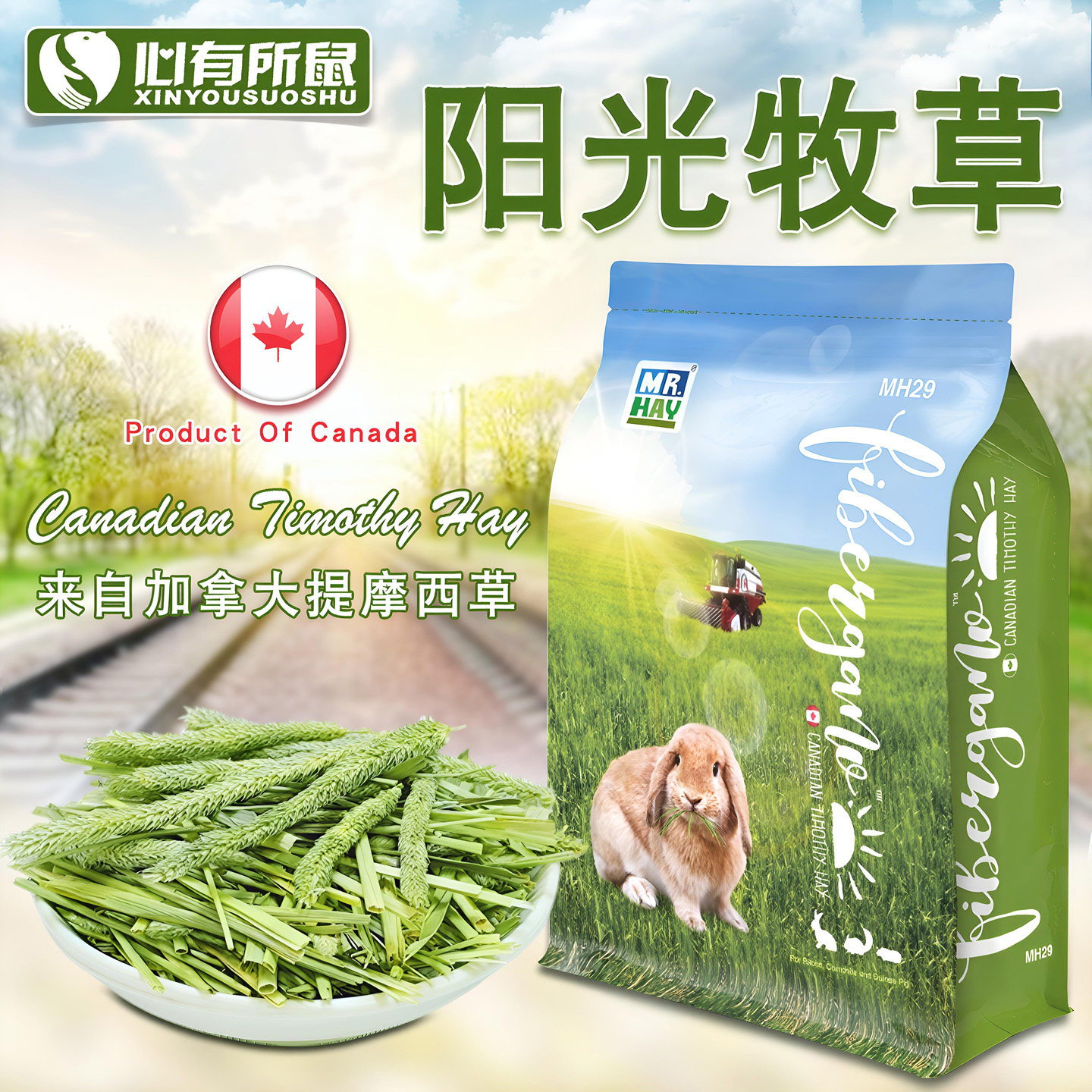 草先生进口提摩西草加拿大阳光牧草龙猫豚鼠兔子提草全国包邮多省