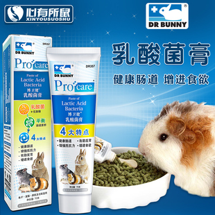 Bunny兔博士乳酸菌营养膏增强抵抗力增进食欲维持肠道健康70g