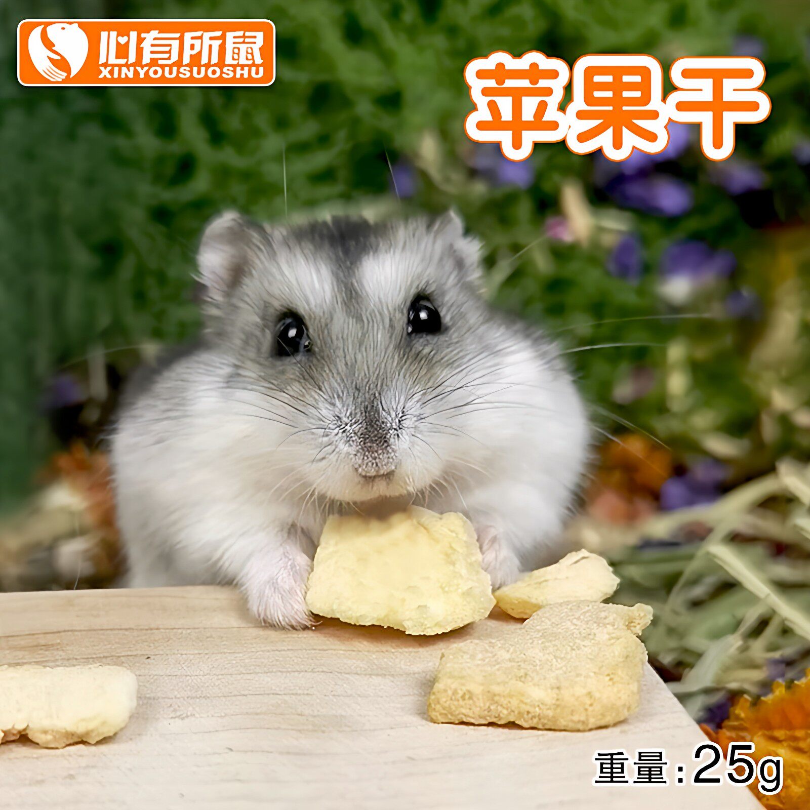 天然苹果干龙猫兔子天竺鼠荷兰猪豚鼠冻干仓鼠零食