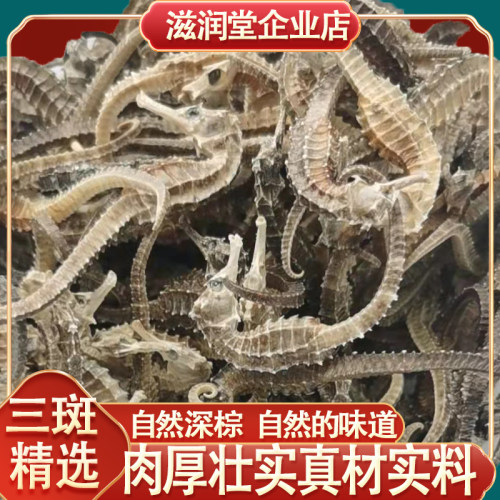 三斑海马干货公母配对泡酒煲汤