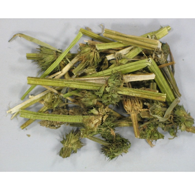 汤料药材 干益母草 广东产 优质一等品 小包装250克