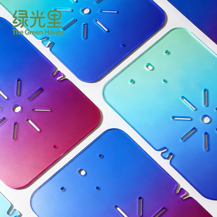 绿光里鹿角蕨渐变亚克力创意绿植挂板附生植物上板板植种植板热植