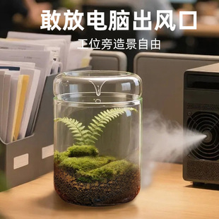 微景观瓶露集杯办公室桌面创意哦生态瓶迷你斗鱼缸透明采光苔藓瓶