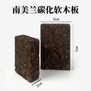 绿光里南美兰碳化软木板兰花板植上板小型附生植物迷你绿植热植板