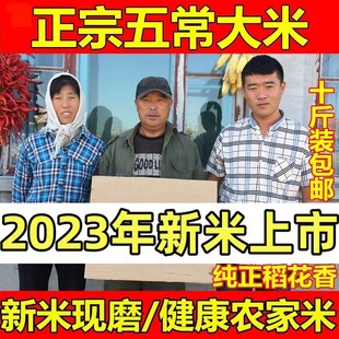 2023年新米正宗五常稻香米5kg农民自产特级真空包装 粳米10斤长粒