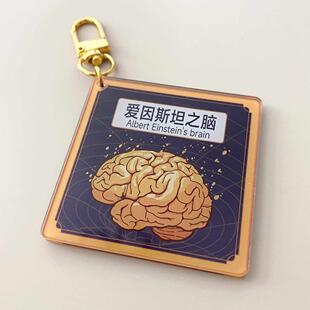 爱因斯坦的大脑挂件脑子智力加成15%创意亚克力小众钥扣!考试神器